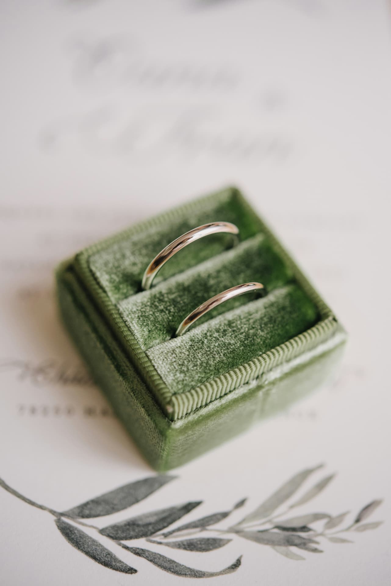 Alianzas en un estuche de terciopelo verde