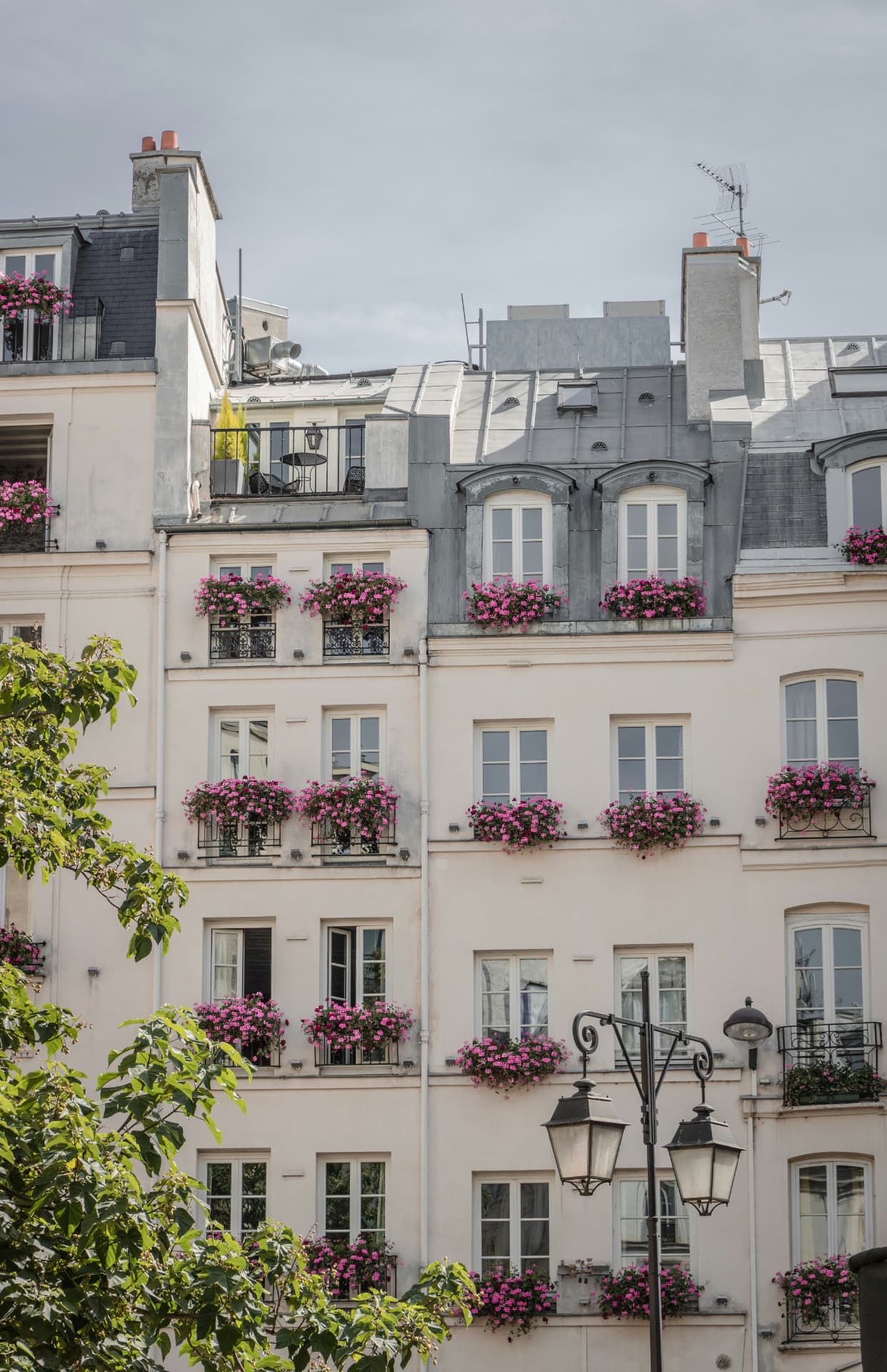 Fachada parisina con flores en los balcones