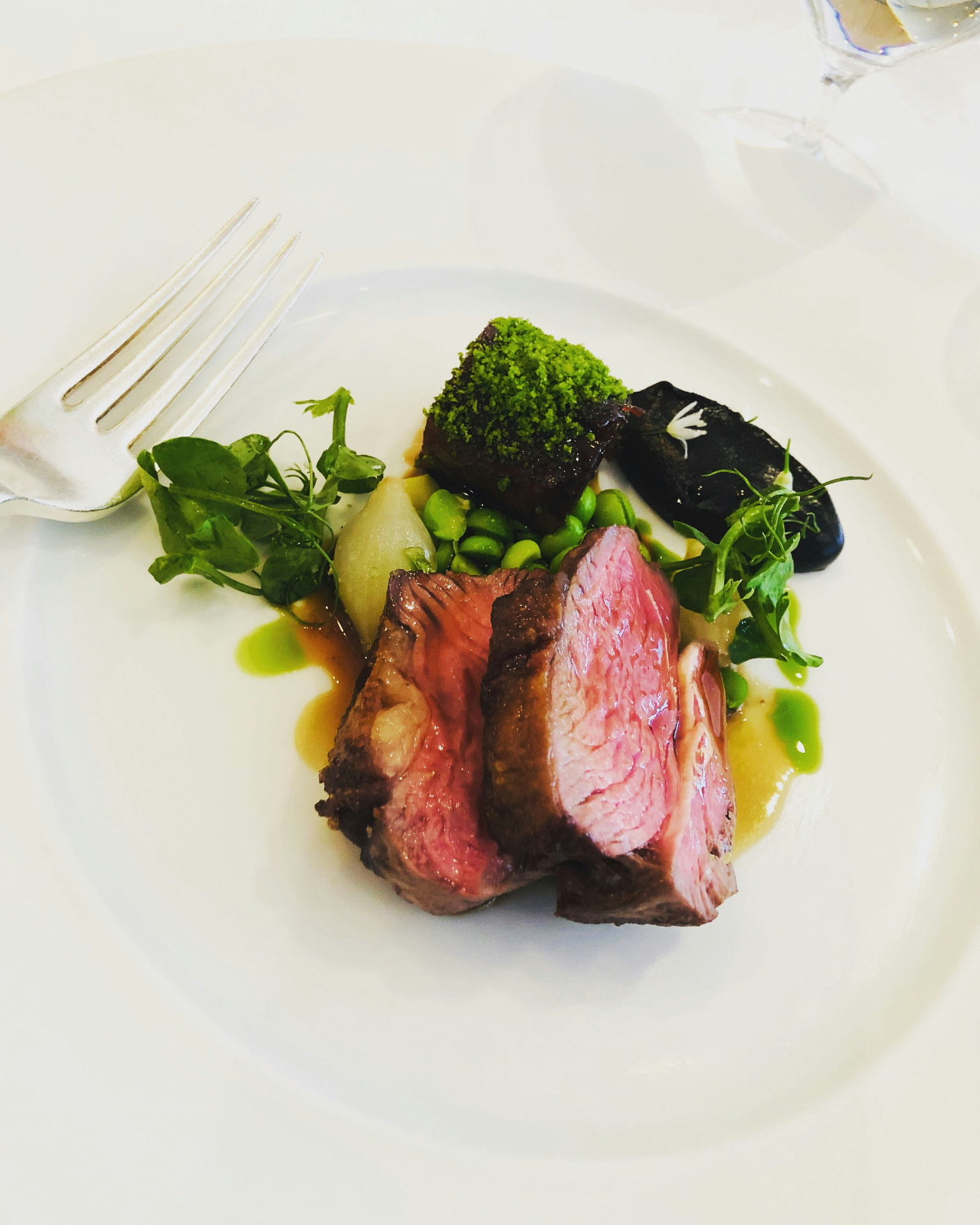 Plato gastronómico de carne con verduras y hierbas frescas