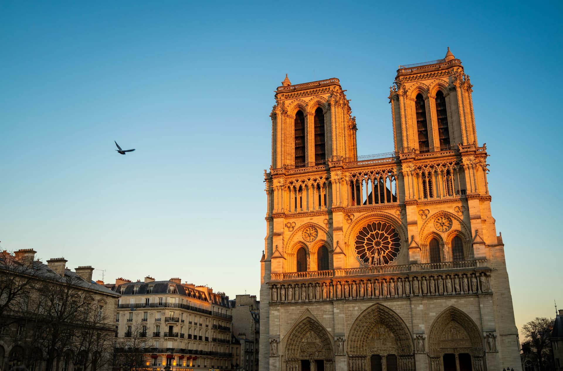 Catedral de Notre-Dame al atardecer