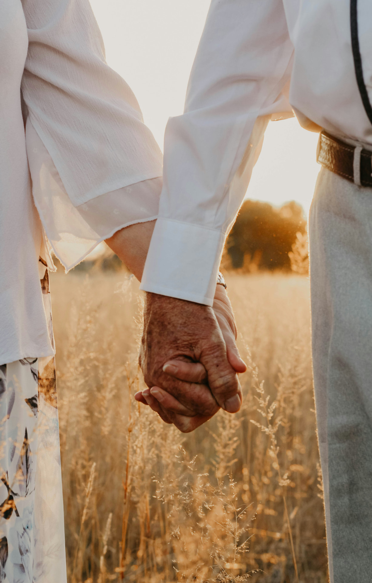 Pareja madura tomada de la mano en un campo dorado
